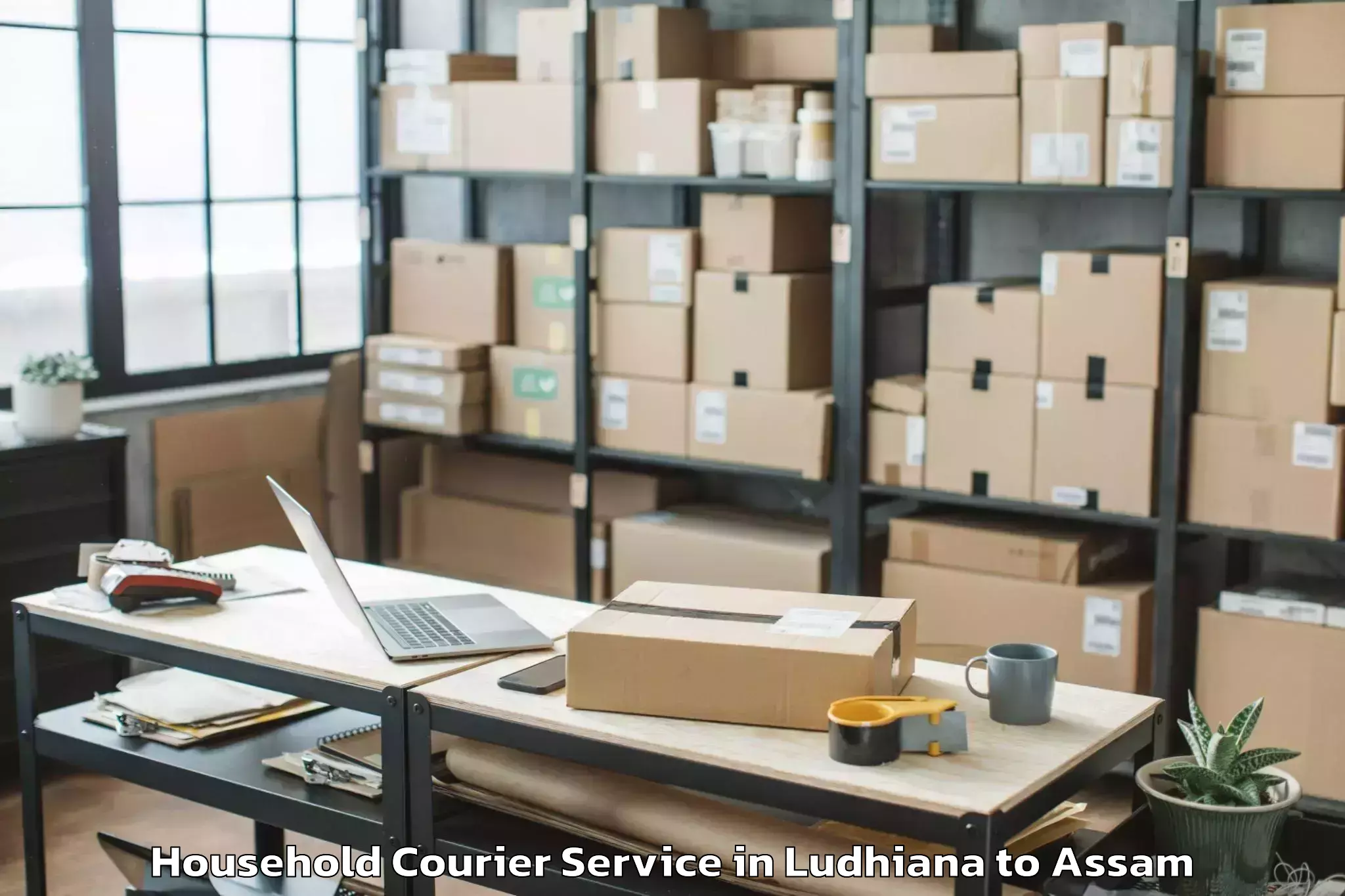 Hassle-Free Ludhiana to Guwahati Household Courier